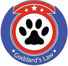 Woollybear Goddard gets to add to his Badges of Honor... 